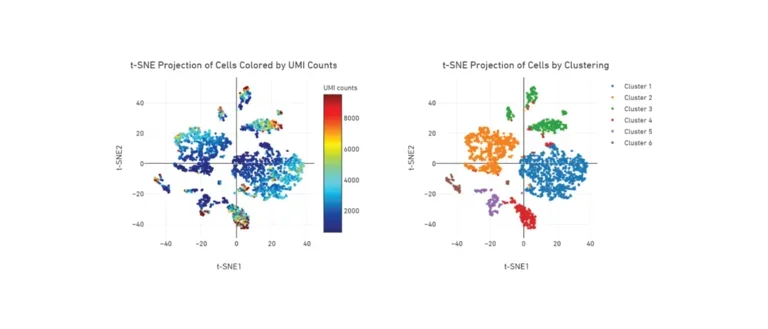 t-SNE plot from single cell RNA sequencing of mouse nodose (vagal) ganglia showing heterogeneity of resident cell populations. More info in accordion.
