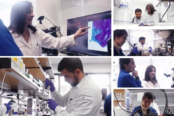 Members of the laboratory working in the lab